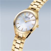Montre Bering Femme Solar in Acier 17331-734 - 17331-734